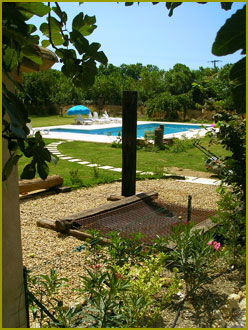 The Pool Area: image 1 of 7